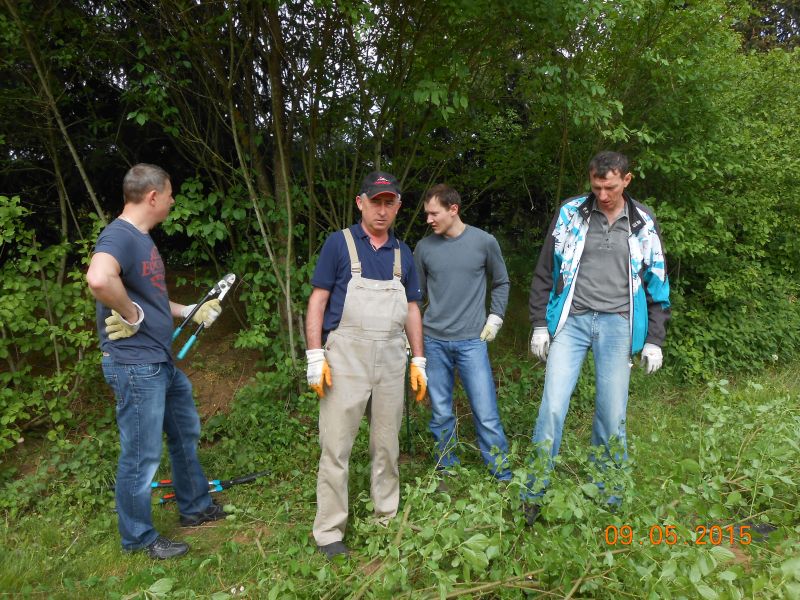 Volleyball Wiblingen