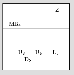 Volleyball Wiblingen