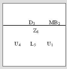 Volleyball Wiblingen
