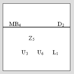Volleyball Wiblingen