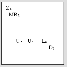 Volleyball Wiblingen