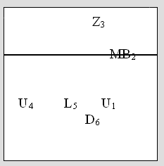 Volleyball Wiblingen